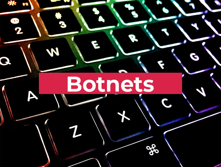 Botnets, ataques de bBotnets, software pirata