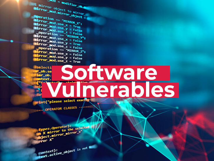 Software-Vulnerables, Software vulnerables